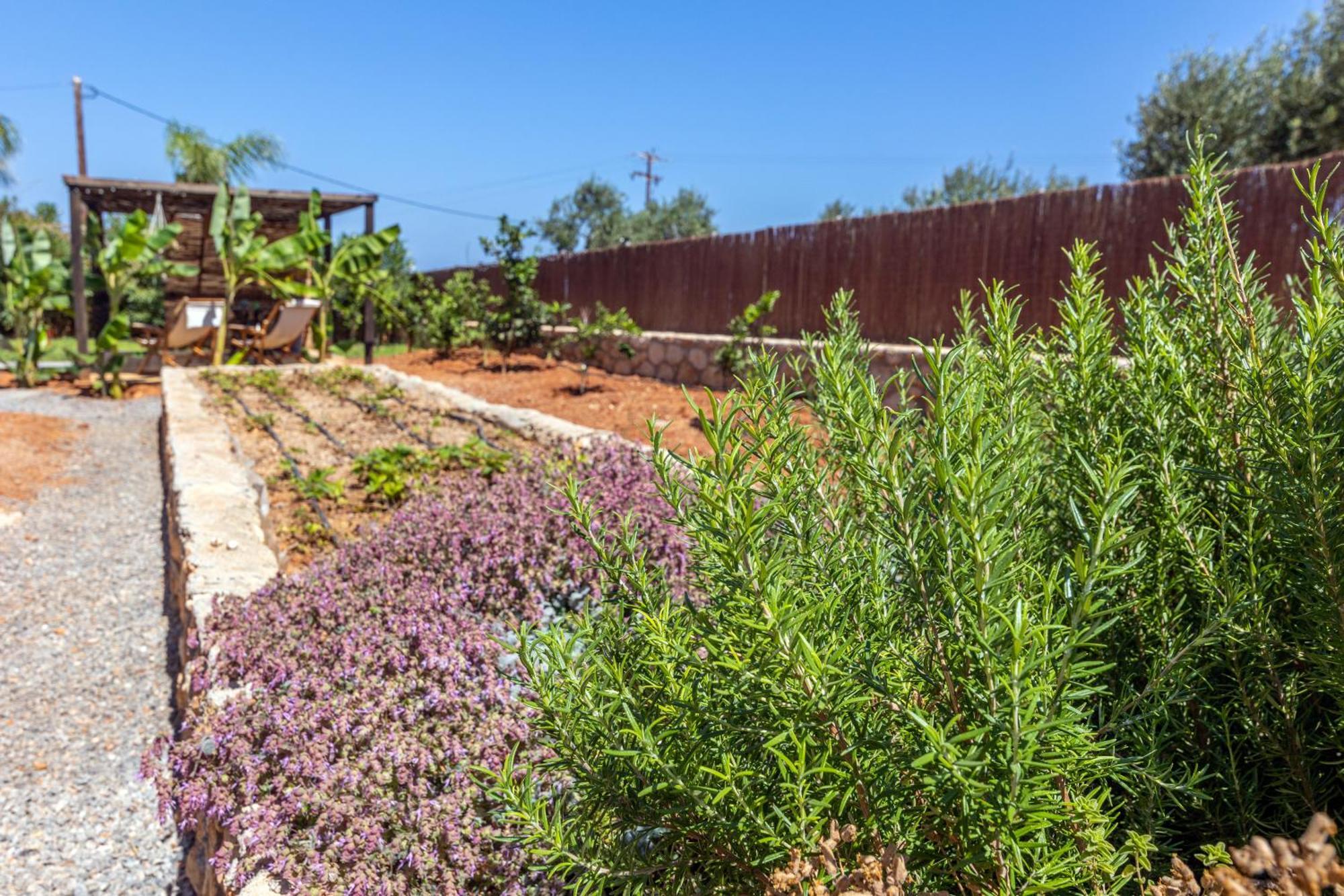 Γηorganic Farm And Houses. Hersónissos Extérieur photo